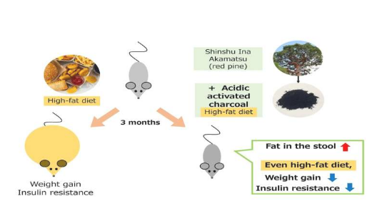 Front Nutr：酸性活性炭或能帮助预防机体体重增加及胰岛素耐受性的发生