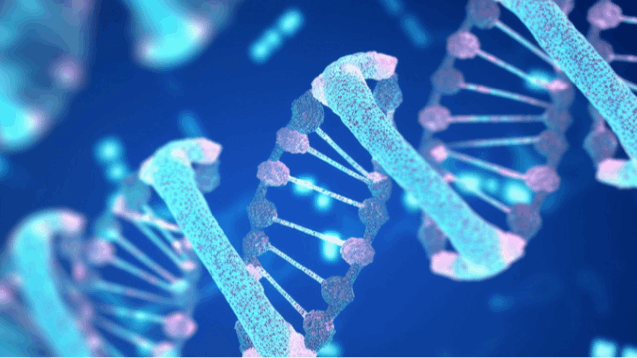 关键试验今年启动！DMD基因疗法积极数据公布