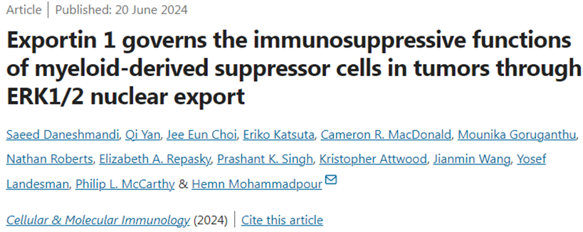 Cell Mol Immunol：新研究发现XPO1蛋白控制肿瘤中髓源性抑制细胞的免疫抑制功能