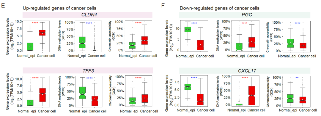 NSR：汤富酬团队揭示胃癌肿瘤异质性及不同分化状态的关键分子特征