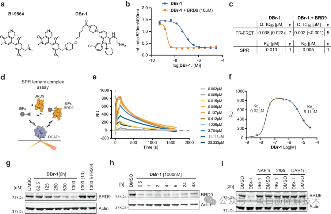 诺华公司发现新E3连接酶配体，可用于克服CRBN耐药性