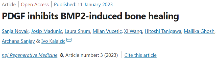 Nature子刊：新研究发现BMP2和PDGF的组合使用竟会抑制骨骼生长和再生