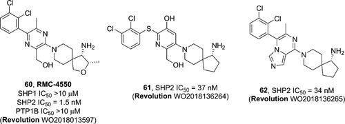 奕拓医药SHP2变构抑制剂获批中国临床！附：SHP2抑制剂研发进展