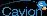 Cavion, Inc.