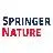 Springer Nature Ltd.