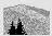 Black Rock Forest Consortium