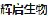 上海辉启生物医药科技有限公司