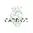 Cardior Pharmaceuticals GmbH