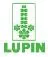 Lupin Ltd