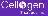 Cellogen Therapeutics Pvt. Ltd.