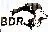 BDR Pharmaceuticals International Pvt Ltd.