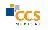 CCS Medical Holdings, Inc.