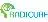 Readycure Inc