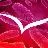 Rett Syndrome Research Trust, Inc.