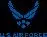United States Air Force