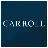 Carroll Organization LLC