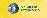 ONI Medical Systems, Inc.