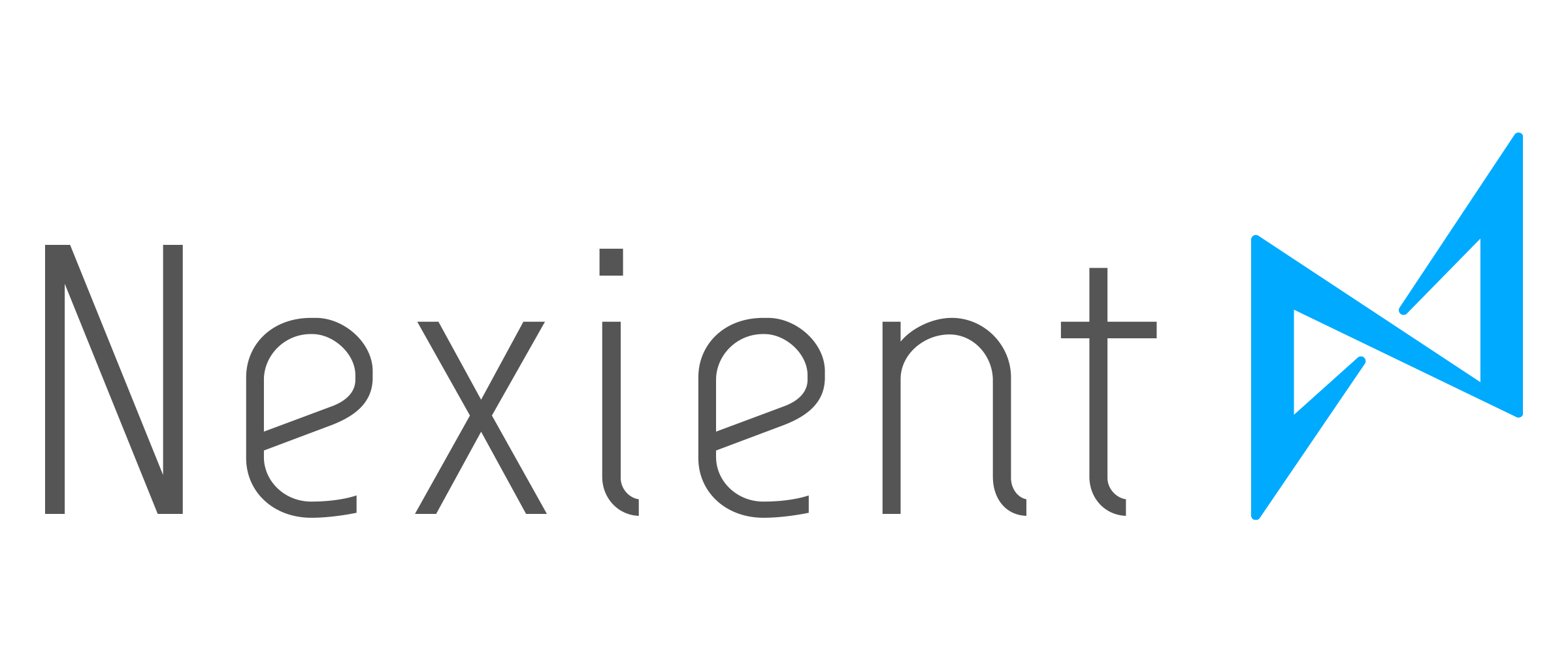 Nexient LLC