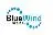 BlueWind Medical Ltd.