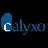 Calyxo, Inc.