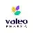 Valeo Pharma, Inc.