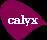 Calyx Health, Inc.