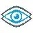 eyeBrain Medical, Inc.