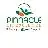 Pinnacle Life Science Pvt Ltd.