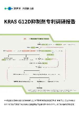 KRAS G12D抑制剂专利调研报告