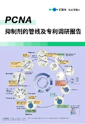 PCNA抑制剂的管线及专利调研报告